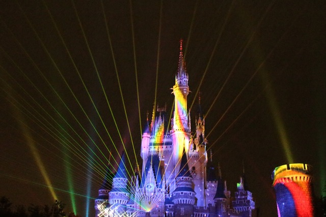 ディズニーランド (21)
