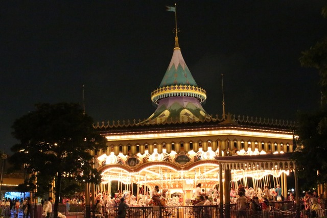 ディズニーランド (15)