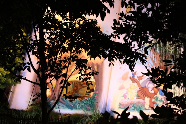 ディズニーランド (13)