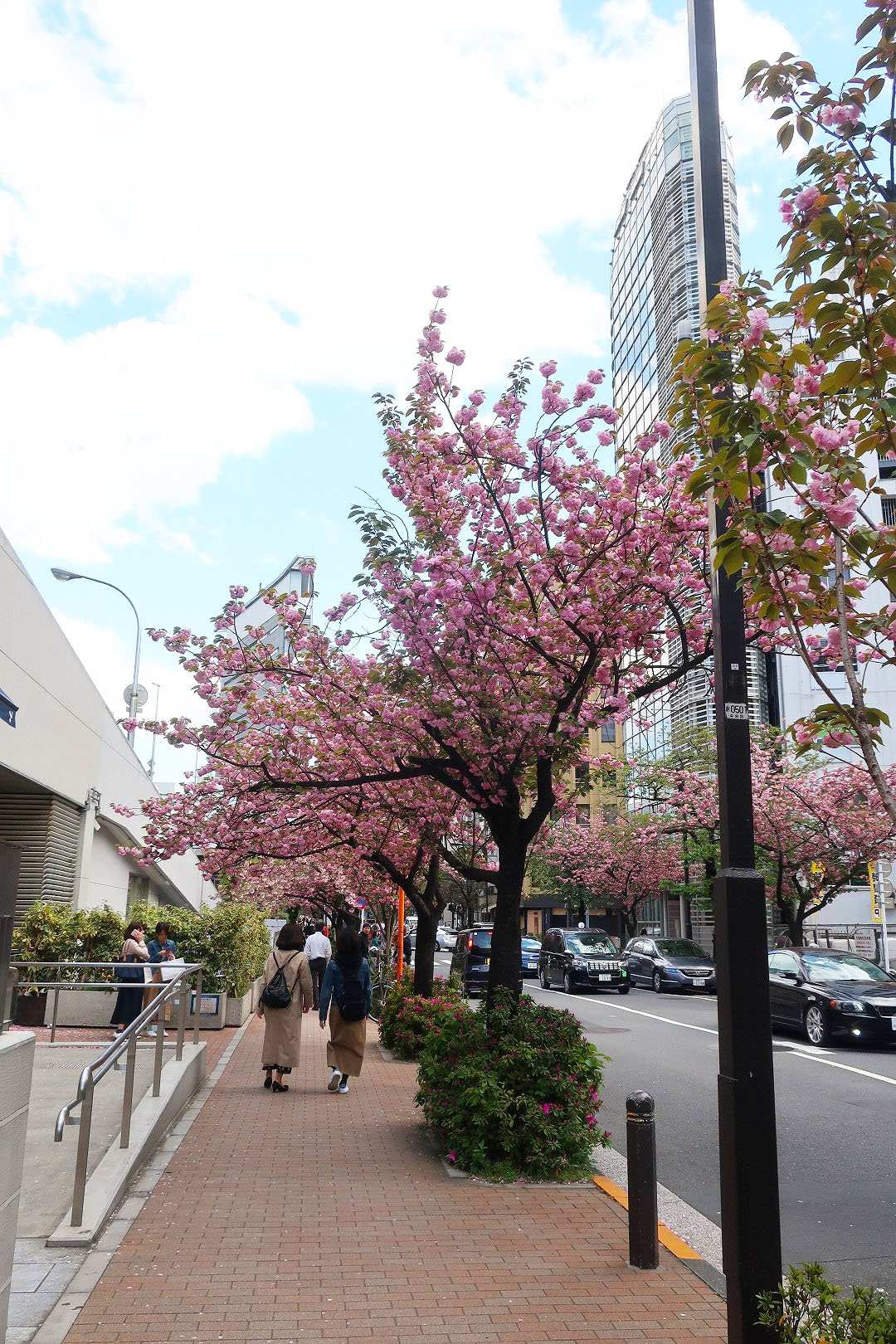 銀座さくら通り (10)