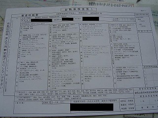 自動車検査票1