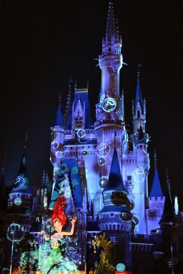 ディズニーランド (20)