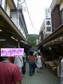 長瀞界隈