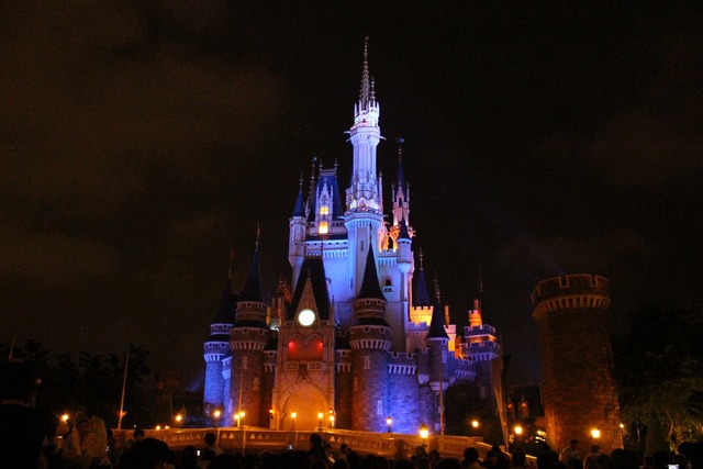 ディズニーランド (18)