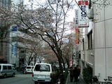 桜坂