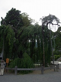 久遠寺 (13)