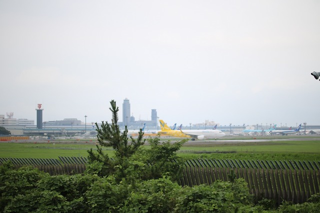 さくらの山公園 (4)