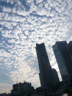 横浜の空