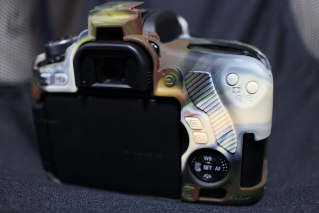 EOS8000D (2)