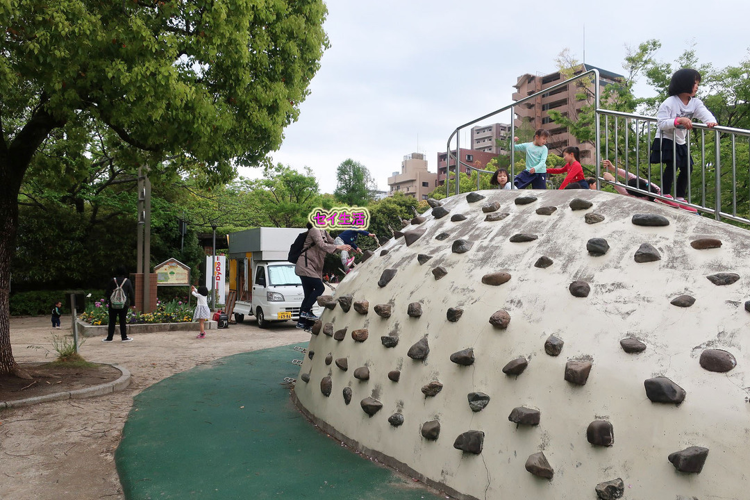 c89838f2.jpg