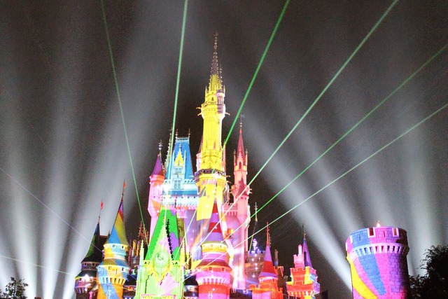 ディズニーランド (24)
