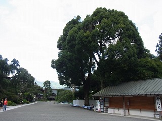 久遠寺 (11)