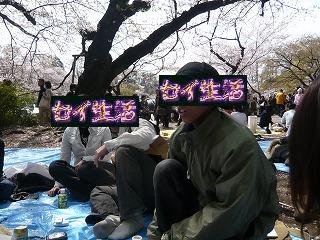片膝