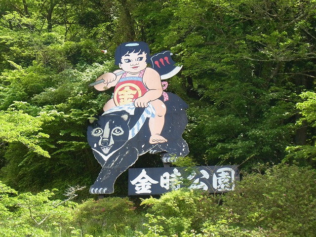 金時公園 (6)