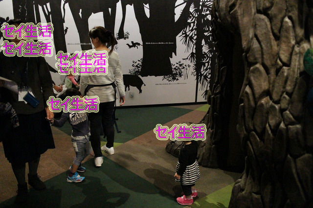 e982086a.jpg