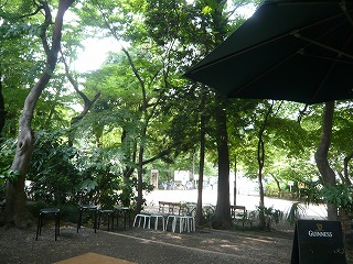 PEPACAFE FORESTからの景色