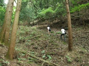 山登り1