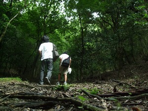 山登り2