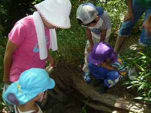 03_hiking1