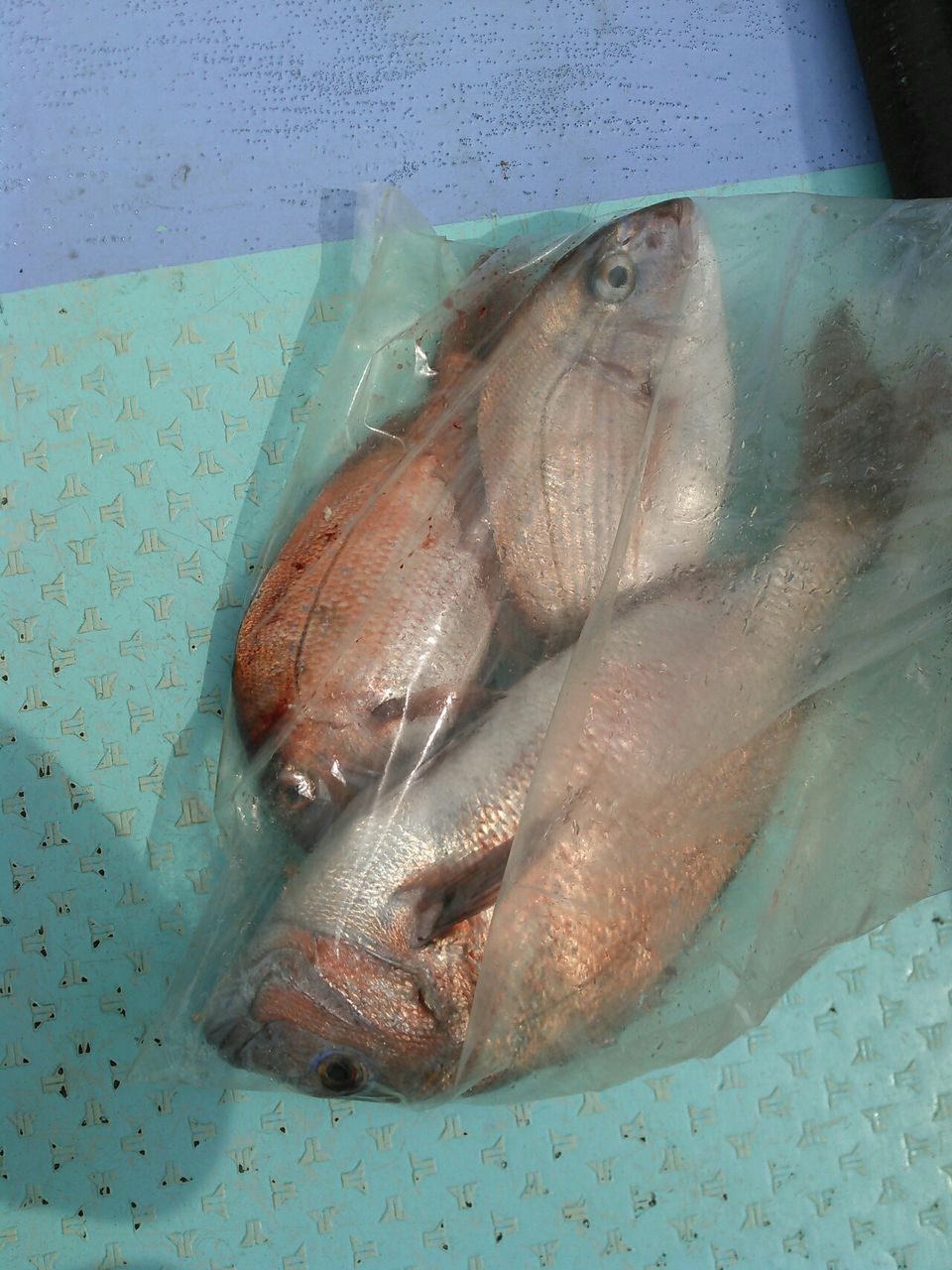 KIMG0122