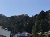 nitijo2651