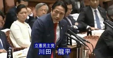 川田龍平