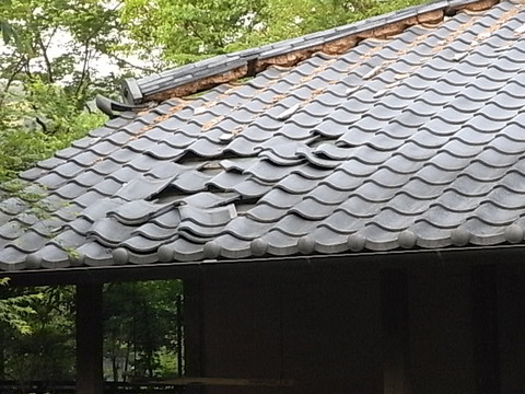 RIMG0859