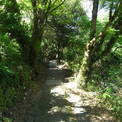 RIMG0284