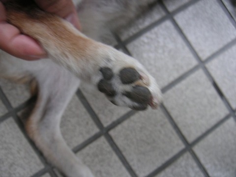 PICT0029