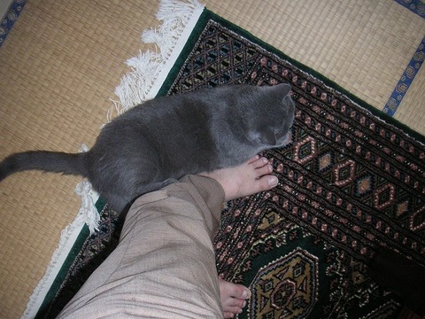 PICT0099