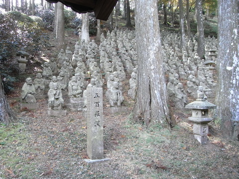 RIMG0284