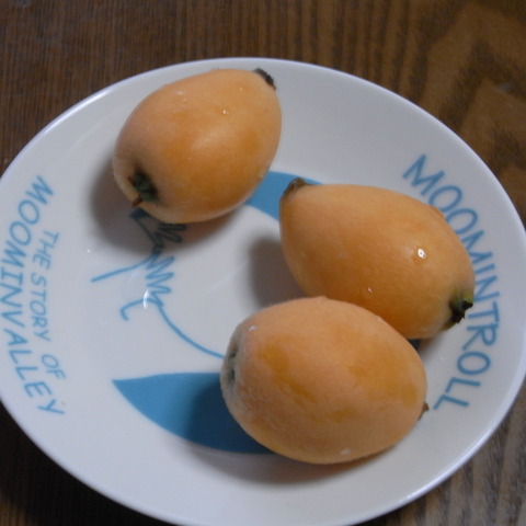 RIMG0370