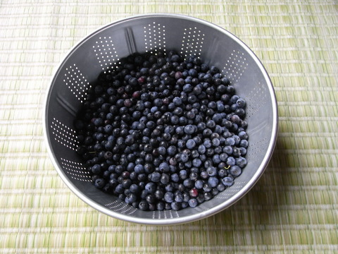 RIMG0114