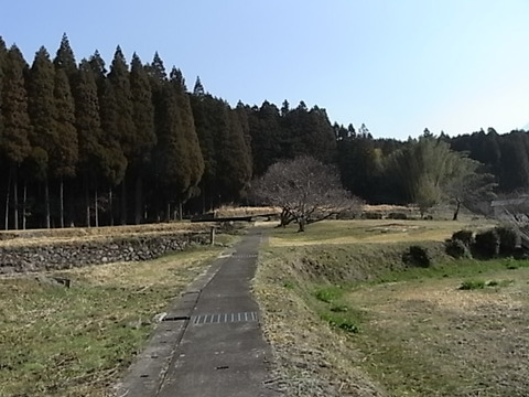 RIMG2117