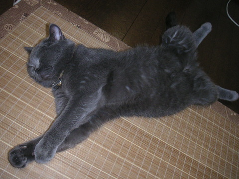 PICT0059