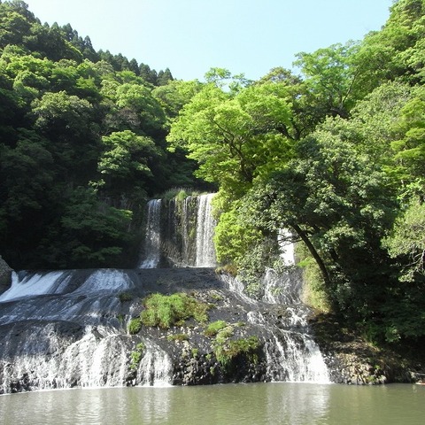 RIMG0289