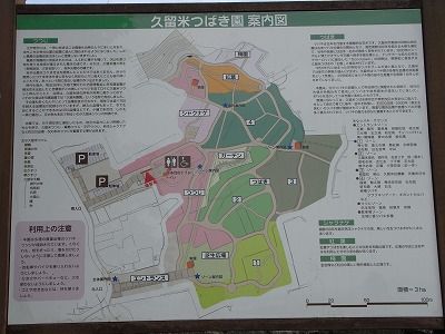 RIMG0722