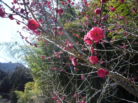 P1070646