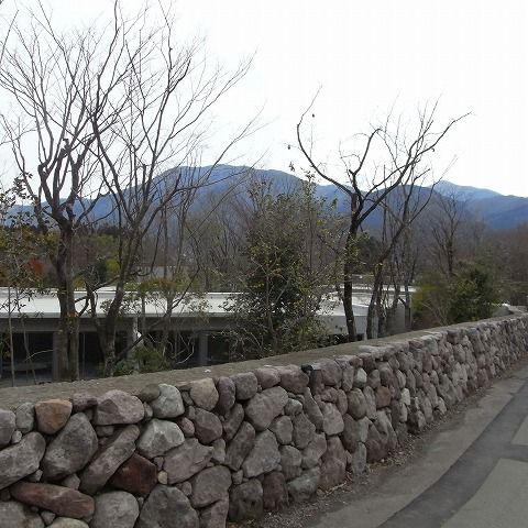 RIMG0551