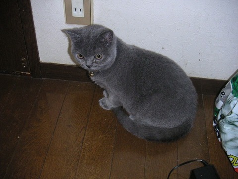 PICT0001
