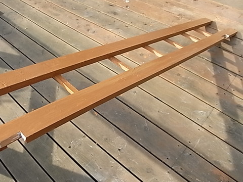 RIMG0991