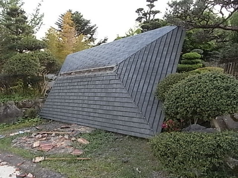 RIMG0858