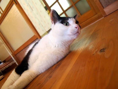 無題7