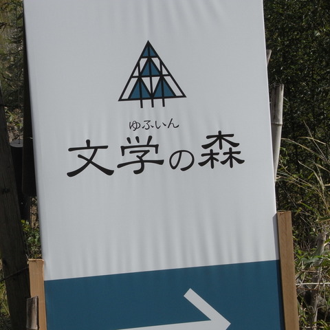 RIMG0271