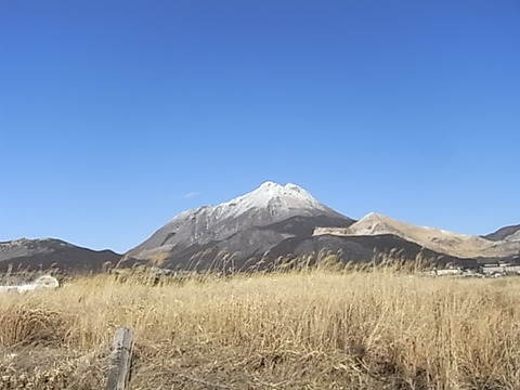RIMG2667