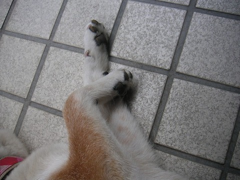 PICT0033