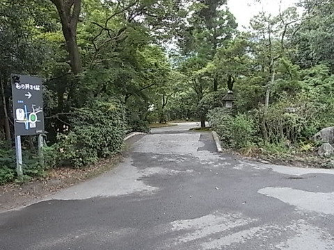 RIMG1065