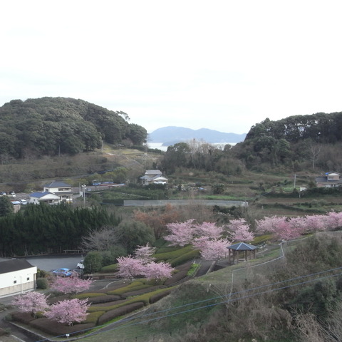 RIMG0544