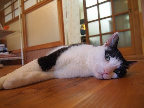 無題6