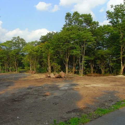 RIMG0381